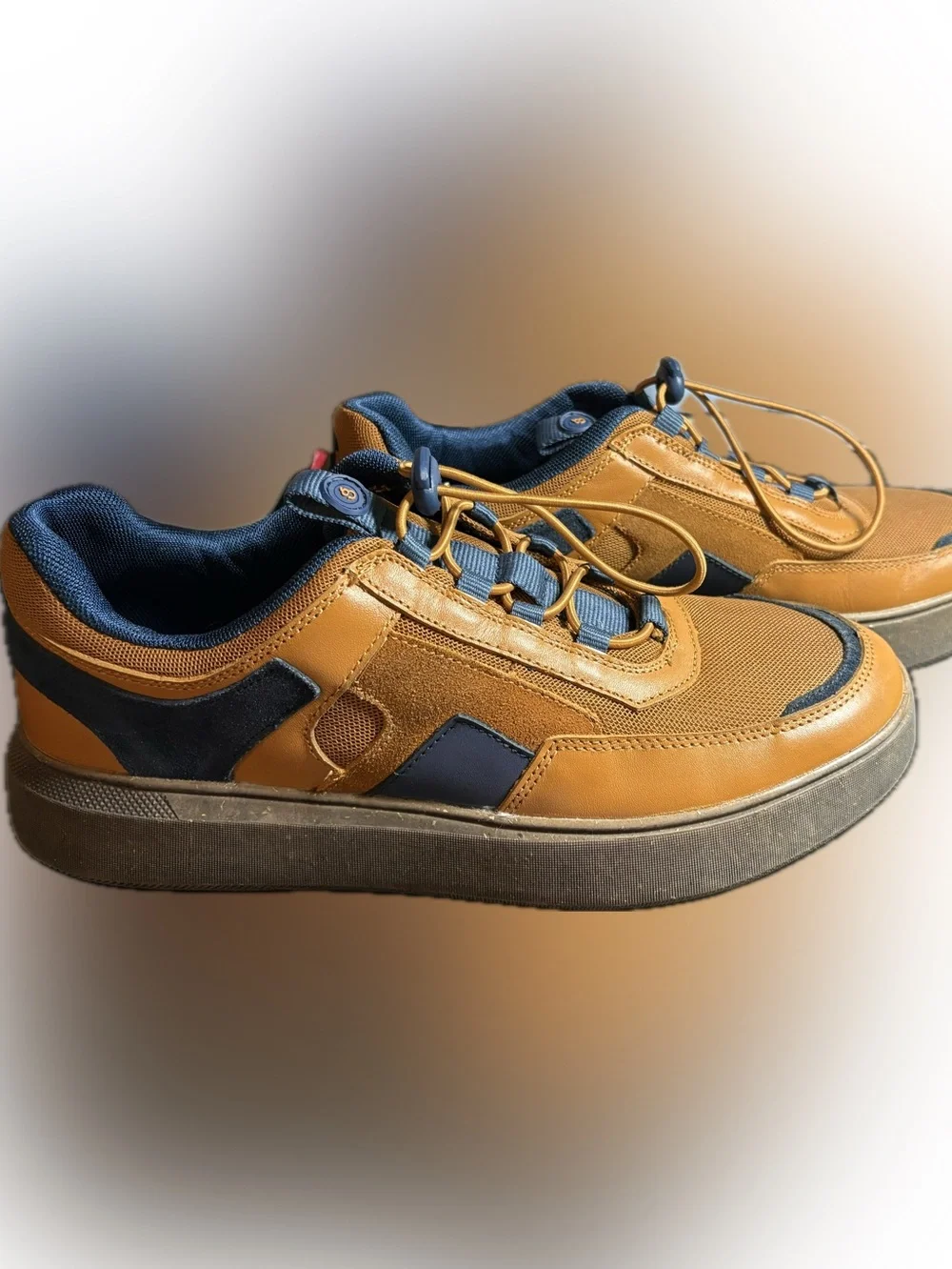 Men's Casual Tan and Navy casual, leather shoes